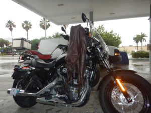Nova Sportster S: entre as Harley mais poderosas da história - Motonline